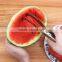 Stainless Steel Watermelon Slicer and Server set