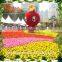 Customized artificial landscape grass topiary animal outdoor decoration artificial grass topiary model