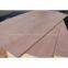 3.6MM Cheap Commercial Plywood