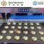 Automatic stainless steel multi function maamoul making machine encrusting machine