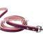 Durable Double Layer Pet PU Collar Leather Leash Training Dog Pulling Rope Pet Neck Chain Pet Supplies