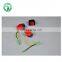 Gasoline Generator Engine Parts 168F 170F 188F Switch For Sale