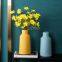 Nordic Style Morandi Fashion Large Yellow Green Blue Ceramic Flower Vase For Tv Bench