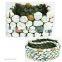 Hot Selling  Home and Garden Succulent Plant Pot