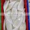 High quality frozen white squid tube for export