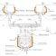 SINOPED Hot Sale Hydraulic Vacuum Cream Disperser Homogenizer Emulisifier