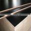 4*8 Cheap Film Faced Birch Plywood 12/15/18/25mm Contre-plaque Shuttering Plywood FIRST-CLASS Outdoor E0 Alniphyllum Fortunei