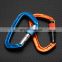 JRSGS Amazon Hot Selling Wholesale Good Quality D Shape Lightweight Aluminum Climbing Carabiner Clip with Snap Lock S7101B