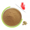 High Quality Pumpkin Seed Extract 10% Fatty Acid Food Grade Powder