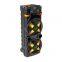 ZQS12205 super power 80W 12-inch*2  OEM cost-effective big party speaker with colorful lights