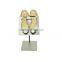 Metal Shoe Rack Matt Silver Retail Shoe Rack Display Stands Wholesale Shoe Holder