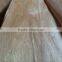 4*7 feet plywood okoume face veneer