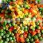 frozen mixed vegetables wholesale prices manufacture