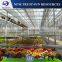 Venlo tempered glass/float glass greenhouse with hydroponic growing system