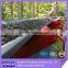 nylon(nn125) china manufacture export conveyor belting