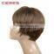 lady's fashion heat resistant synthetic wigs wholesale new popular style female elegant wigs wavy synthetic wig cap