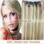 Hot Sale Pretty Gold 30 inch human hair extensions clip in human hair clip in hair