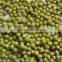 Canned green peas with good quality for sale