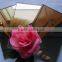 4mm, 5mm, 6mm, 8mm thick Color Mirror