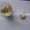White color New horseradish root powder