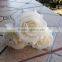 gorgeous handcraft flower head pure white rose head for wedding corsage