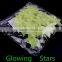 fluorescent toys / Glow in the Dark star Sticker Packs / Fluorescent stickers