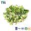 TTN Freeze dried vegetalbe Dried vegetables