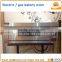 Electric pizza oven / gas bakery deck oven