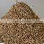 Exporters of Premium Quality Cumin Seeds from India