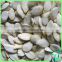 2016 Snow White Pumpkin Seeds With Free Sample