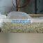 Vietnamese Cashew Kernels Best Price