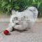 decoration toy mini cute small dollhouse cat standing decoration
