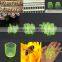Hot Sale Queen Bee Rearing Equipment Royal Jelly Cups Set Beekeeping Cell Cups