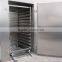 industrial fruit and vegetable dehydrator
