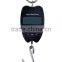 Digital hanging scale