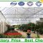 Hot sale plastic tunnel greenhouse