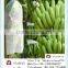 Non-woven fruit insect-resistant bags, Nonwoven bag of banana ,Non woven bag of grapes