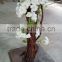 China factory make white fake orchid flower tree for interior decoration