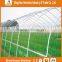 Heracles Trade Assurance tunnel greenhouse