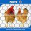Hexagonal Decorative Chicken Wire