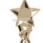 Hot Sell Star Metal Trophy Parts