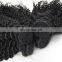 Fast shipping 100% brazilian human virgin hair weaving in kinky curl raw unprocessed hair