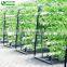 Commercial Greenhouse Hydroponic Culture Growing Systems For Sale