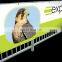 PVC flex banner for advertising digit printing