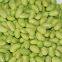 Frozen green beans kernels