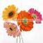 Yarncrafts wholesale artificial gerbera Handmade crochet flowers for home decoration and gifts