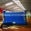 The Frozen Age Princess theme inflatable bounce house indoor for sale