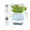 New arrival smart touch plant piano Music Flowerpot with bluetooth and LED light