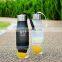 Outdoor sports plastic H2O fruit infuser water bottle Lemon juice water bottle