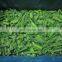 Chinese Shandong New Crop Factory Price Good Quality IQF Frozen Asparagus Tips